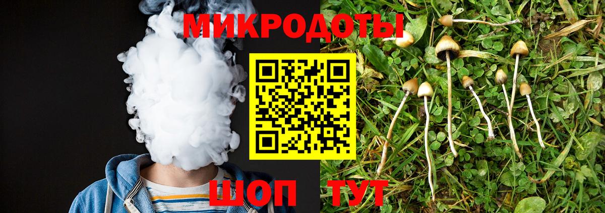 Славянск-на-Кубани  Галлюциногенные грибы прущие грибы  Вход с VPN 