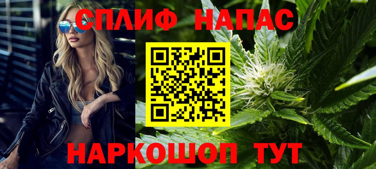 Каннабис планчик Славянск-на-Кубани